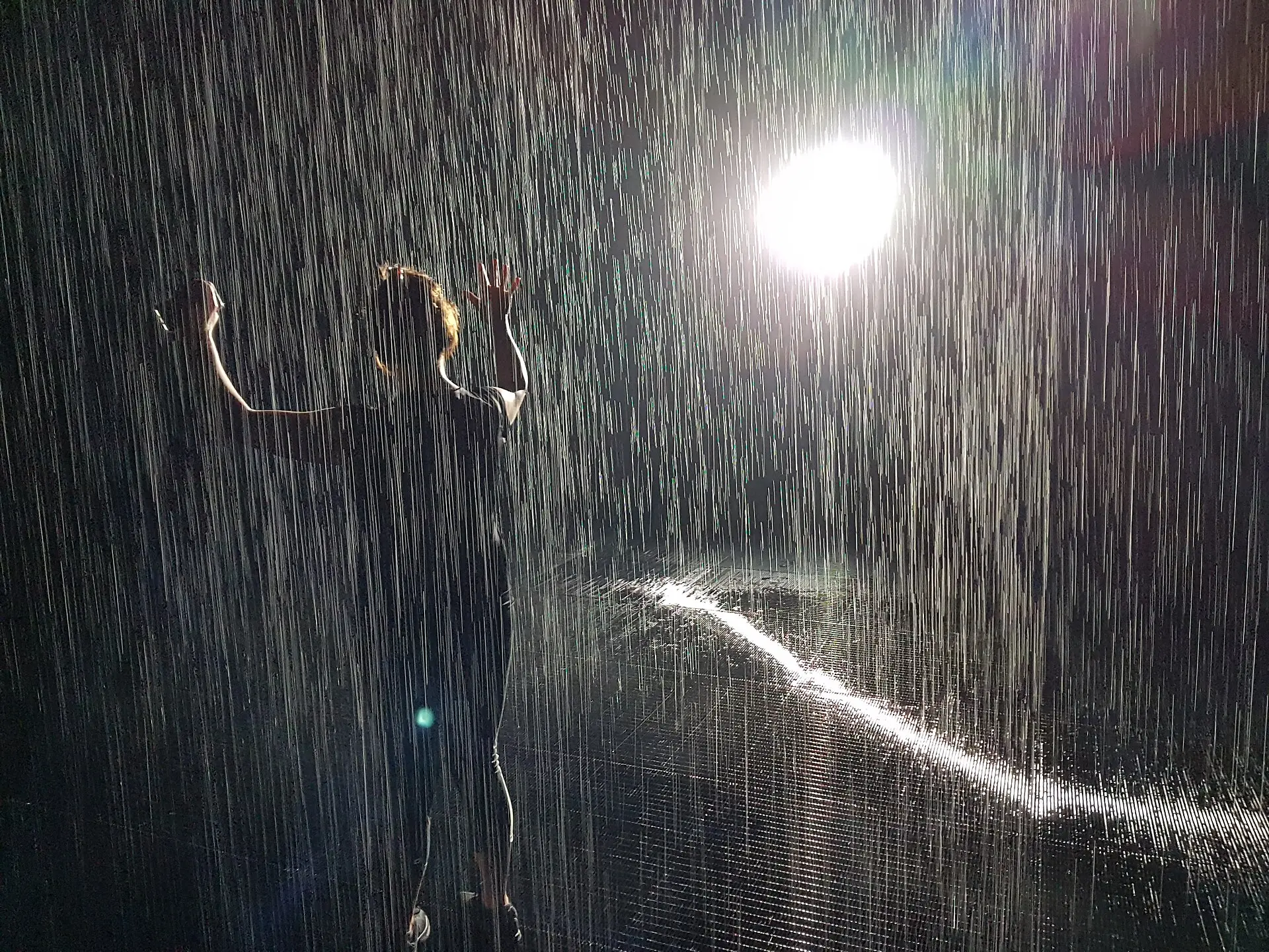 Rain Room Public Art